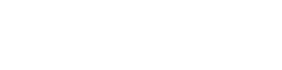 Paymentshield logo