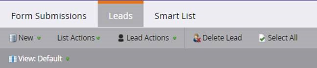 Marketo Smart Lists - view default screenshot